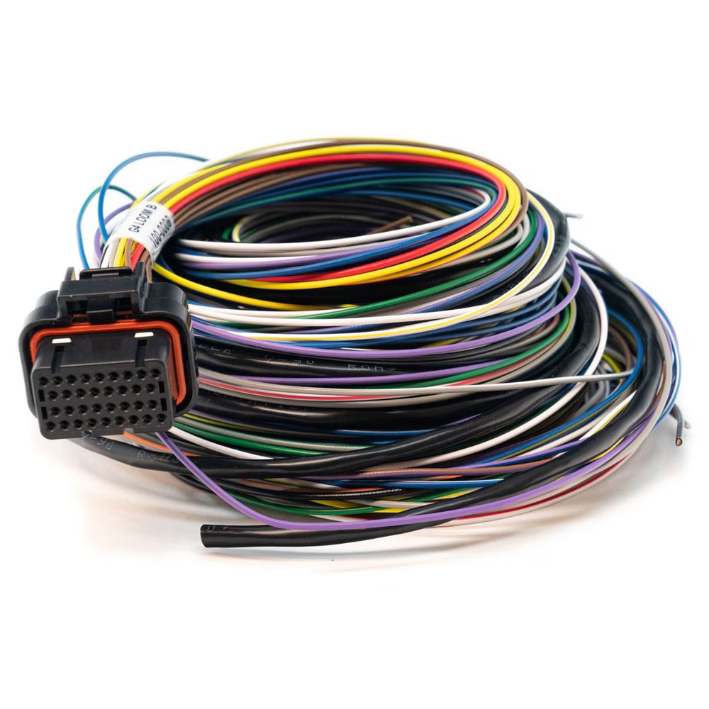 Link ECU B Loom Medium (2LB) (Order in)
