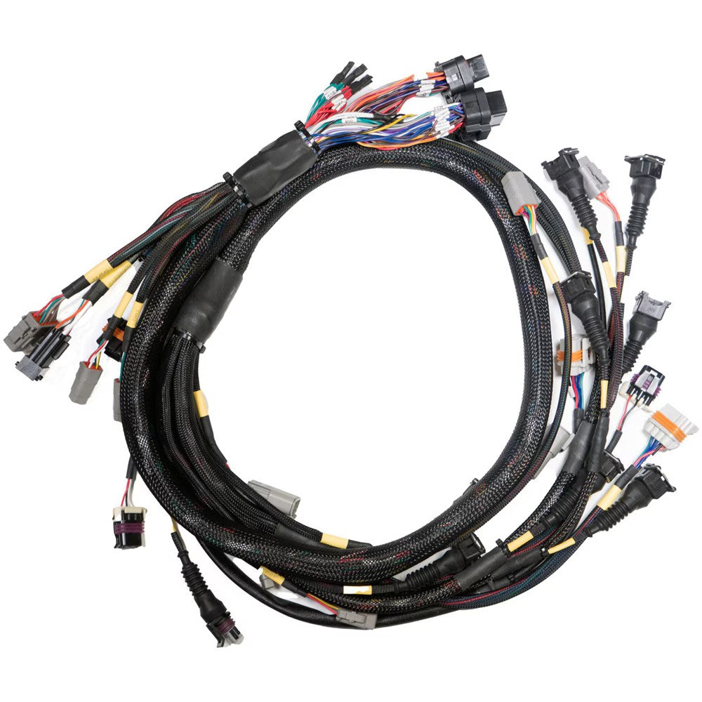 Link ECU Terminated Engine Harness GM LS GEN3/4 (Order in)