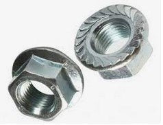 Manifold Flanged Nut M10X1.5