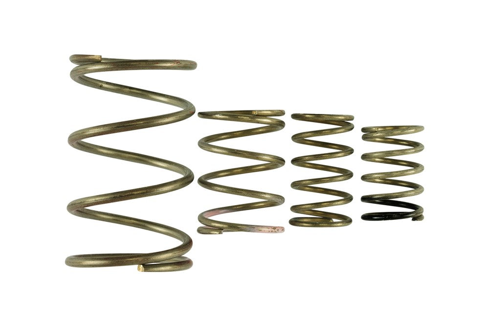 Turbosmart GenV WG38/40 Spring Replacement Kit (Order in)