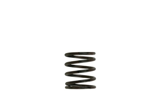 Turbosmart Gen4 IWG/WG38/40/45/50L 3PSI Inner Spring - Brown / Black (Order in)
