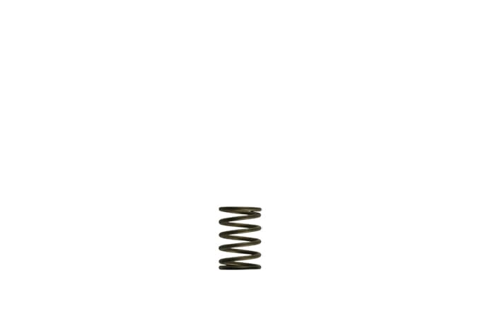 Turbosmart GenV WG38/40 3psi Black Inner Spring (Order in)