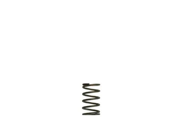 Turbosmart GenV WG38/40 5psi Grey Inner Spring (Order in)