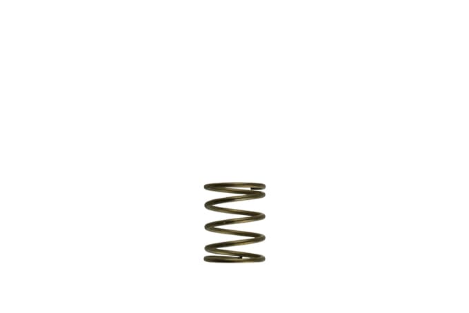Turbosmart GenV WG45/50 3psi Orange Inner Spring (Order in)